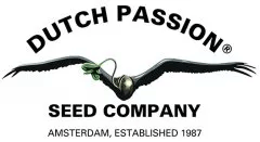 https://cd-labs.com/wp/wp-content/uploads/2020/06/dutch-passion-seeds.png