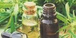 what-you-need-to-know-before-making-marijuana-tincture